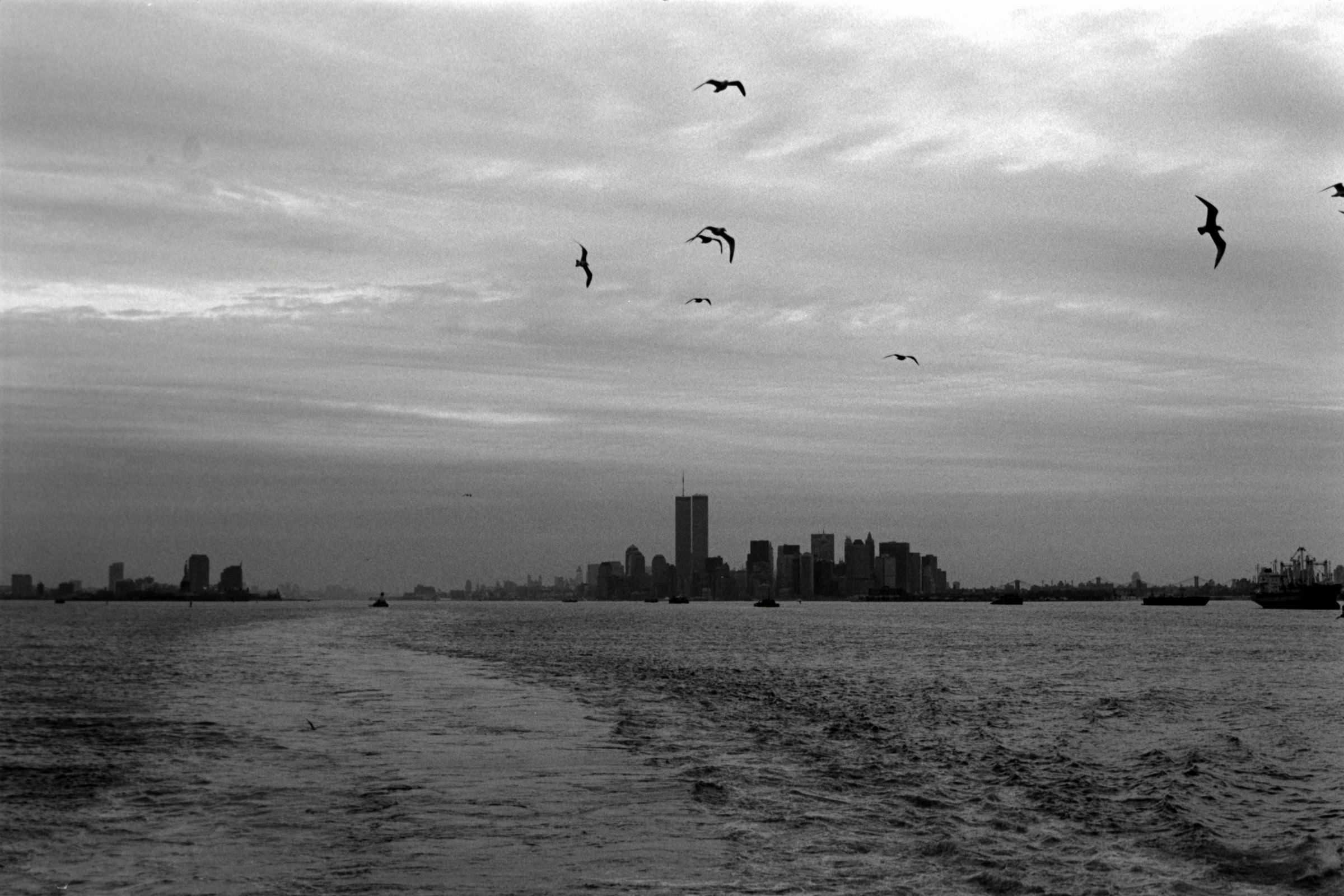 AHP F1995 04 003 sc240816 img27 NLP